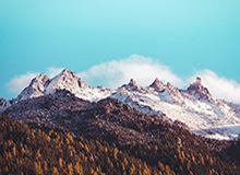 媒体人晒女篮赛场片段：女篮以第四名的成绩结束了本届亚洲杯